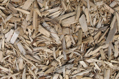 biomass boilers Lutton Gowts